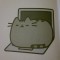 Pic #6 - My daughters book includes tech support tips for cats
