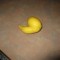 Pic #6 - You call that the worst lemon ever I present you scumbag lemon with clit tickler companion
