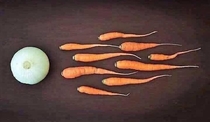  and that is how vegans are born