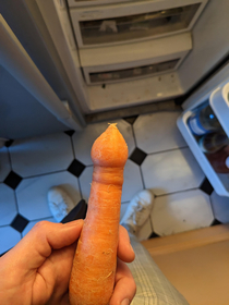  British carrot