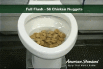  Chicken Nuggets being Flushed Down a Toilet