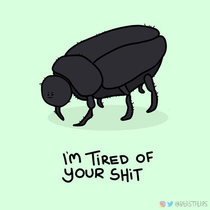  grumpy dung beetle