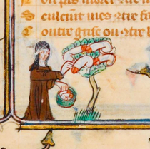  Just a th century French nun harvesting ripe penises fresh from the tree Yes that IS indeed what is being illustrated here Medieval times wereodd