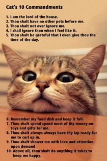  kitty commandments