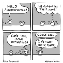  Marshmallow Social Distance Acquaintance