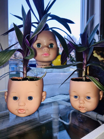  My neighbor repurposed her daughters dolls heads as planters