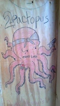  pactopus- found in the lifeguard shed at a beach in my town
