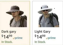  shades of Gary