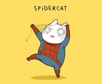 spidercat