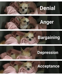  Stages of Grief Hes not happy with me at all