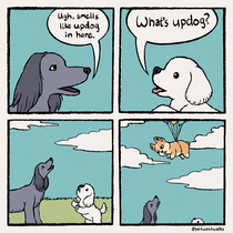 Updog