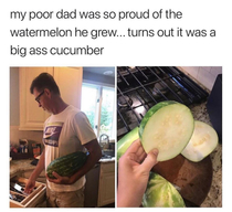 Watermcucumber