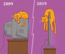  year challenge TV edition ft cat