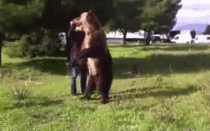 A Bear Doing Hula Hoops