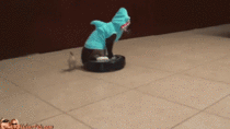 A cat in a shark suit riding a roombaand a duckling