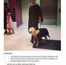 A dog with a better education than me