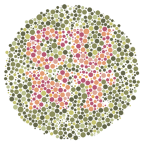 A female coworker didnt believe that Im colour blind Apparently Google images provided me with a pretty unfortunate example