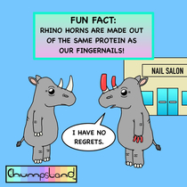 A Fun Fact About Rhinos 