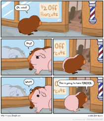 A geometric haircut