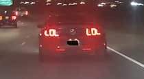 A mustang owner with a beautiful sense of humor