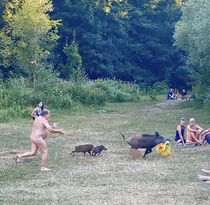 A Nudist in Berlin had his laptop bag and pizza stolen by a boar