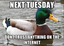 A piece of advice for internet users