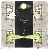 A Romantic Night