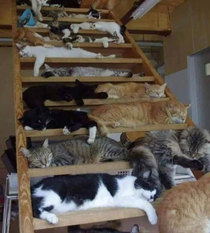 A stairway of Heaven