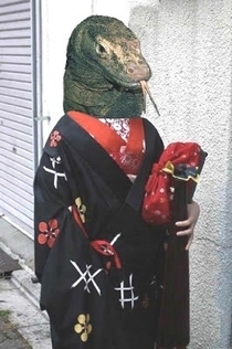 Accidentally image searched kimono dragon instead of Komodo dragon Was not disappointed