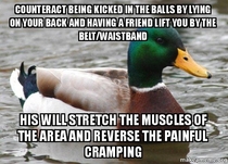 Actual Advice Mallard quickly recover from being kicked in the balls