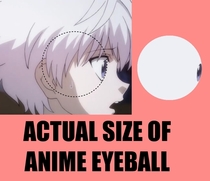 Actual size of anime eye ball