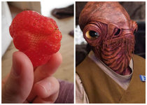 Admiral Ackbars Strawberry Naturally I did not eat it