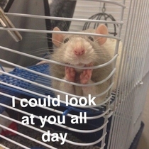 Admiration Mouse thinks youre beautiful