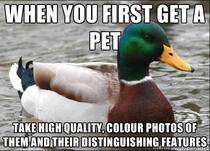 After going through hundreds of grainy unhelpful photos to see if a cat I found was missing I have this bit of advice for pet owners