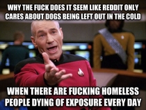 After seeing multiple angry posts about people leaving their dogs outside in the winter