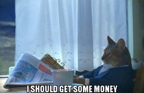 After seeing Wolf of Wall St