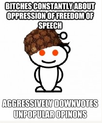 After two years on Reddit this is what Ive learned Fuck the downvotes Its true