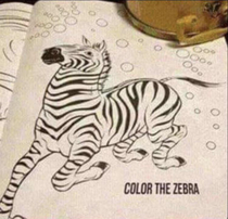 Ah yes color in the zebra
