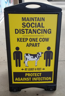 Ah yes the standard measure of distance cow
