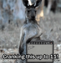 Air guitar kangaroo 