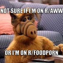 Alf discovers Reddit