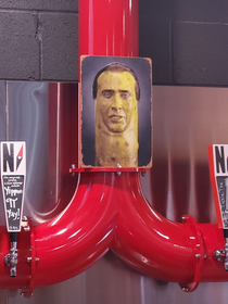 All hail Picolas Cage My local brewery made a sour beer in his honor and hung this in the taproom