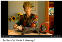 All I could think while watching Cat Massage