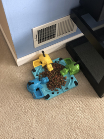 all of the food bowls we tried for my dog my dog decided to eat out of hungry hungry hippos