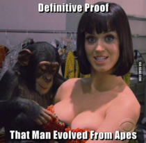 All this talk of primates lately