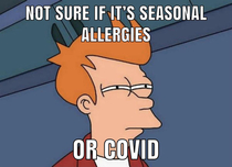 Allergy season  edition