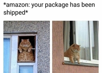 Amazon your package has been shipped