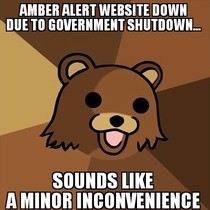 Amber alert website is down