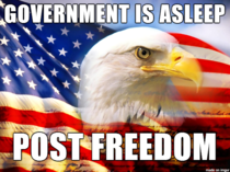 American Government is Down