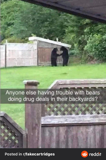 An important PSA Good bears dont take bad drugs